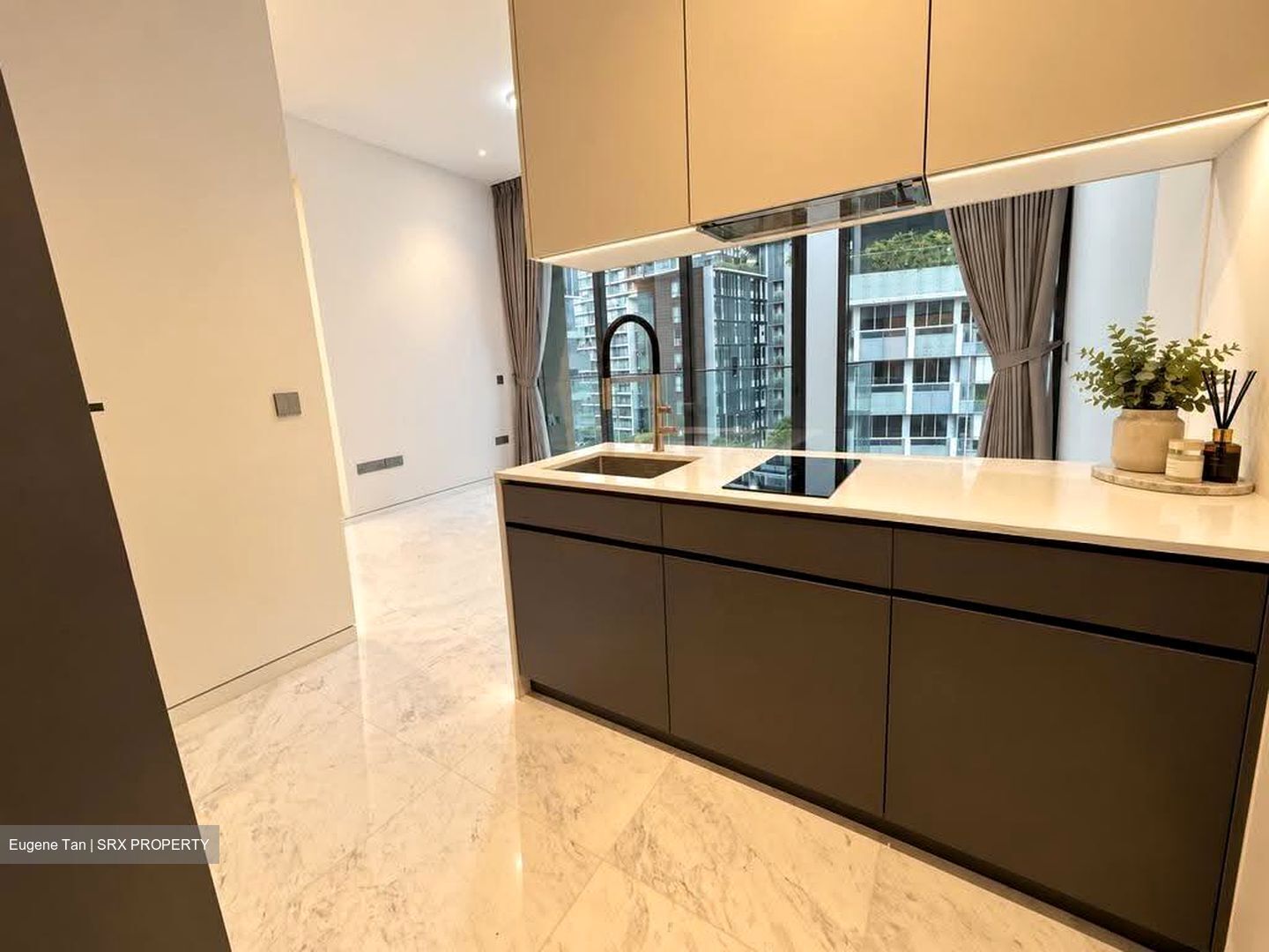 Cairnhill 16 (D9), Apartment #623094431